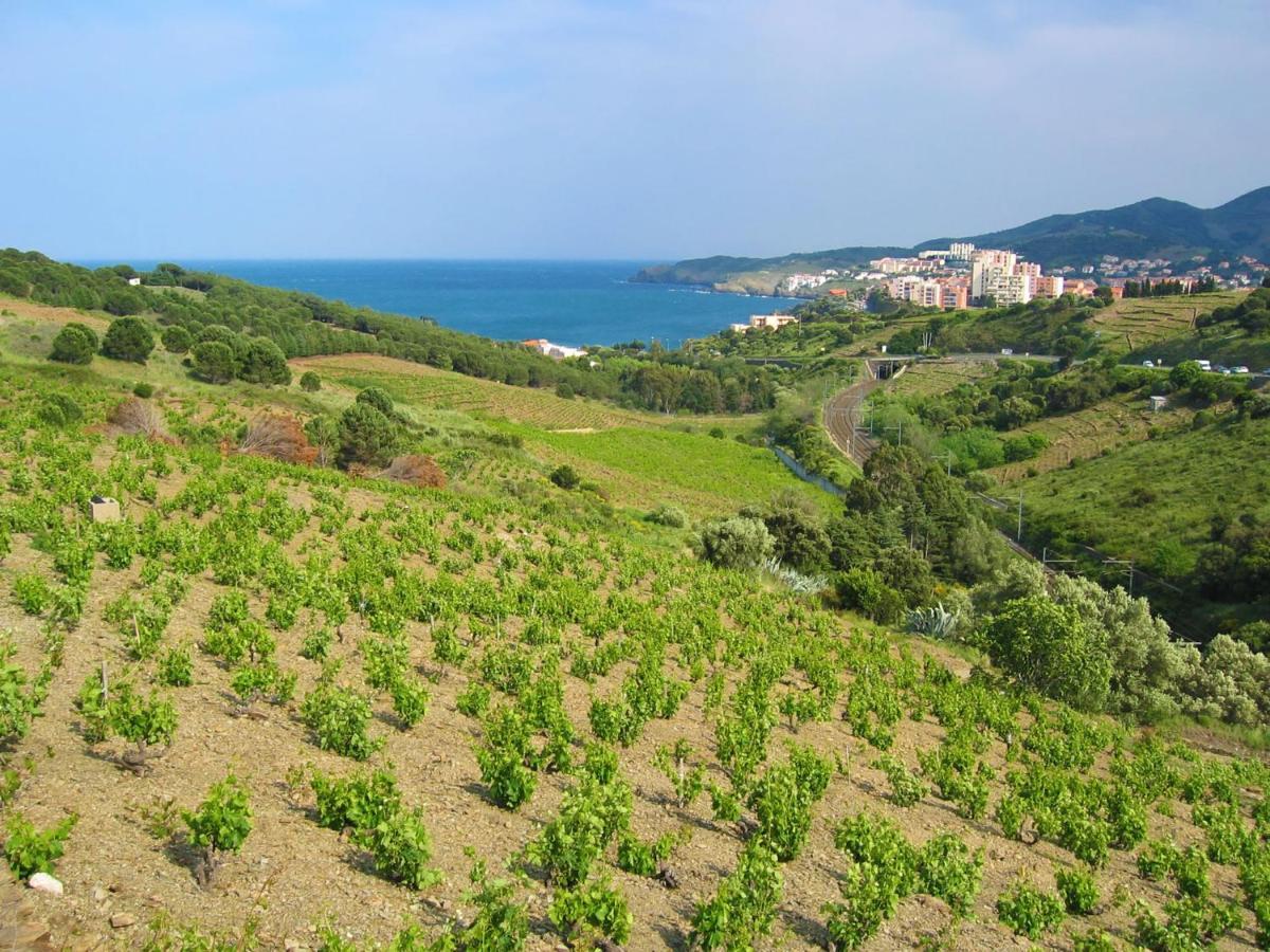 Apartment Thalacap By Interhome Banyuls-sur-Mer Exterior foto